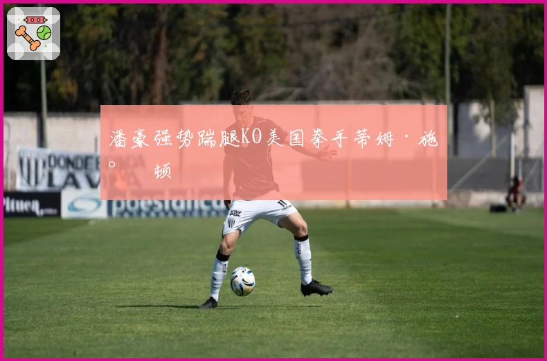 潘豪强势踹腿KO美国拳手蒂姆·施尔顿