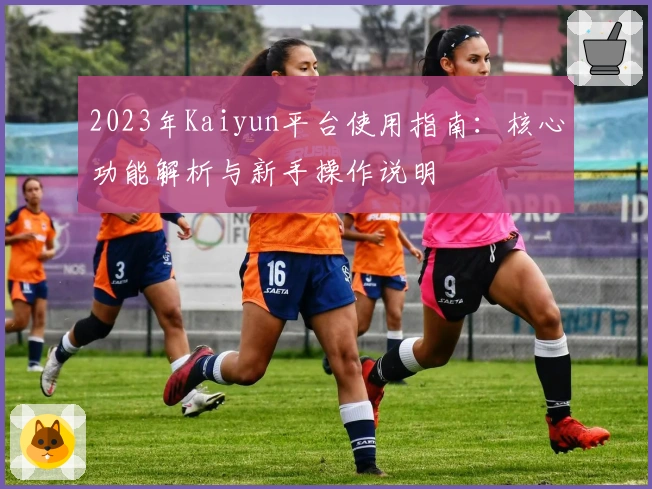 2023年Kaiyun平台使用指南：核心功能解析与新手操作说明