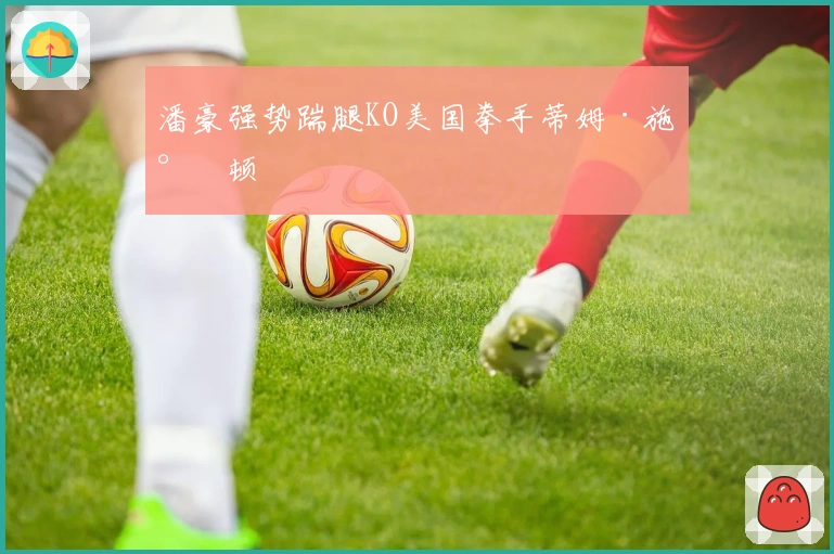 潘豪强势踹腿KO美国拳手蒂姆·施尔顿