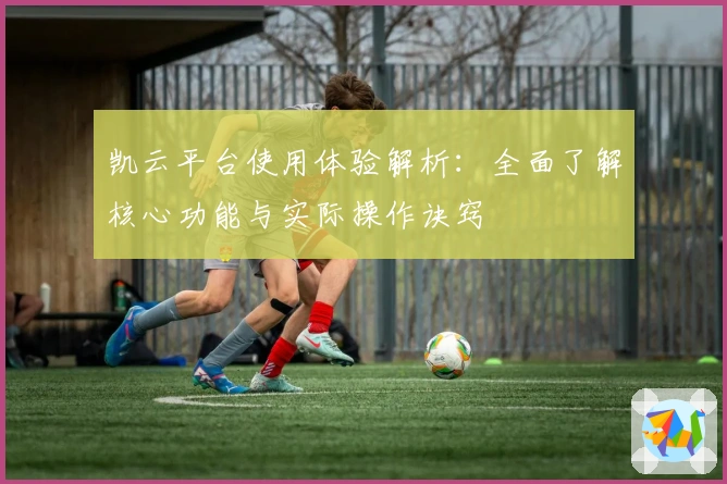凯云平台使用体验解析：全面了解核心功能与实际操作诀窍