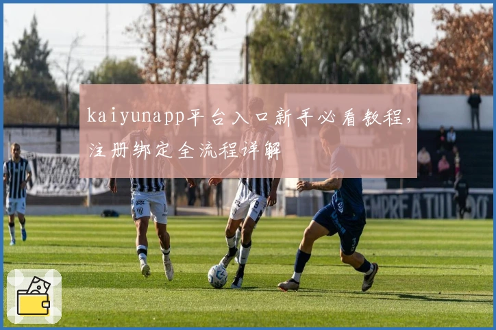 kaiyunapp平台入口新手必看教程，注册绑定全流程详解