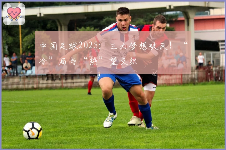 中国足球2025：三大梦想破灭！“冷”局与“热”望交织